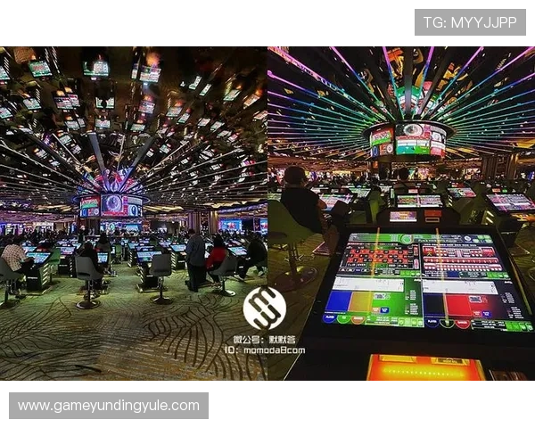 如何根据马来西亚云顶大赌场排名选择最适合自己的线上线下博彩体验